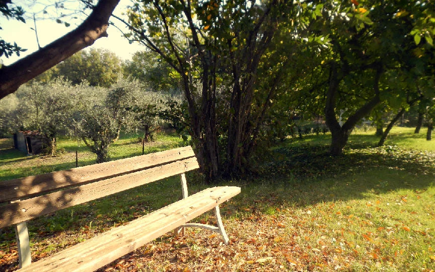 Una panchina in legno all’ombra degli alberi dell’agriturismo